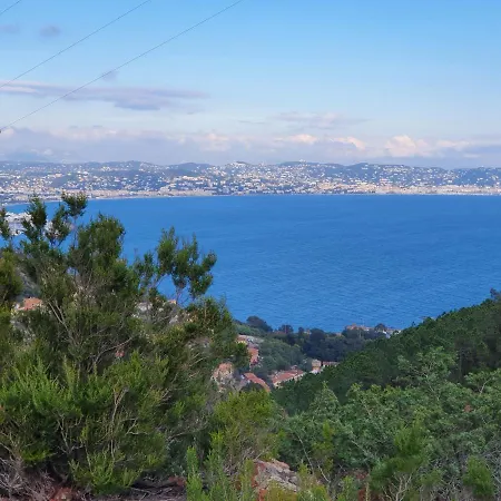 Grand Calme Avec Piscine - Mandelieu
